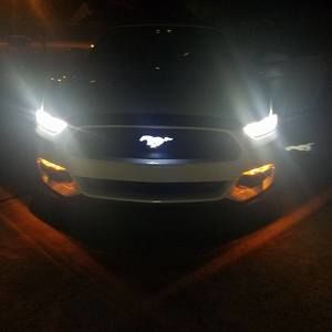 Meet your Posher, Gregory